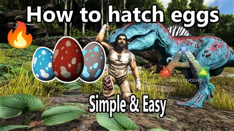 How To Hatch Eggs In Ark Survival Evolved Youtube