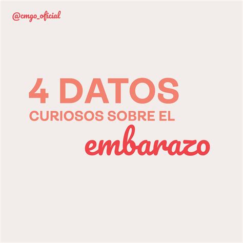 Ginecologia 8