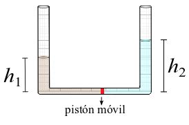 Fluidos En Un Tubo En Forma De U Documentaci N De Manual De Pr Cticas