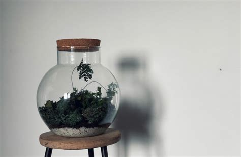 Round Terrarium Naman Project