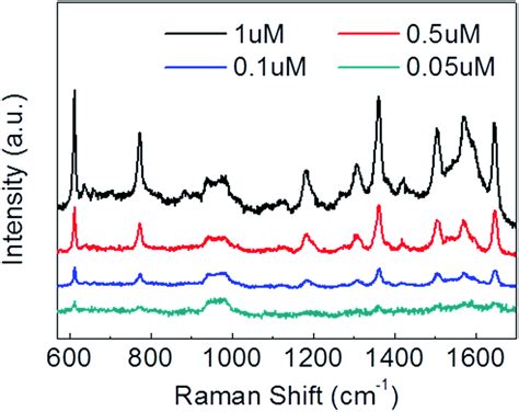 Raman Spectra Of R6g Molecules Adsorbed On The Surface Of Graphenetio2