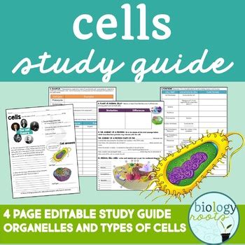 Cells Study Guide By Biology Roots Tpt