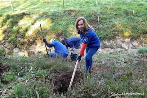 Funcionários do Município dedicam tempo à floresta nativa FUTURO