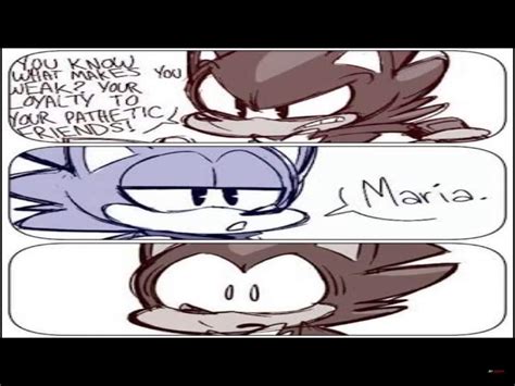 Hilarious Sonic Memes Sonic The Hedgehog Amino