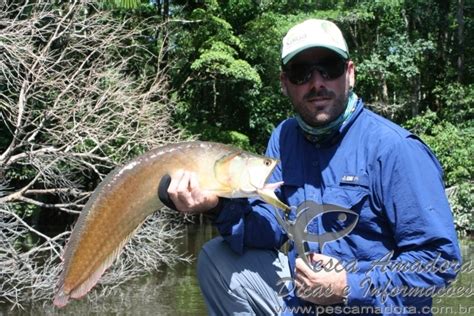 Turismo Rural Mt Os Benefícios Da Pesca Esportiva E O Conceito Do