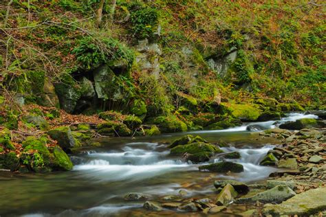 Bieszczady National Park (Official GANP Park Page)