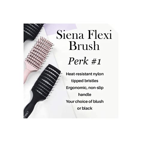 L Ange Hair Siena Flexi Curved Vented Hair Brush Detangle Brush With Nylon Bristles Best Wet