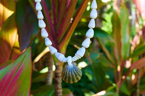 1042 Hawaiian Sea Shell Lei Sunrise Shells Hawaii