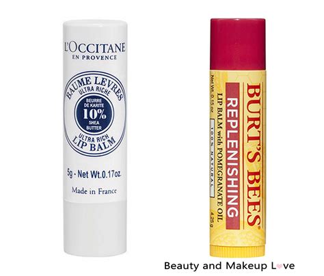 Best Lip Balm For Dry Lips In India | Lipstutorial.org