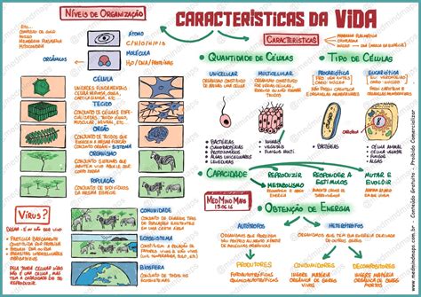 Classificação Dos Seres Vivos Mapa Mental