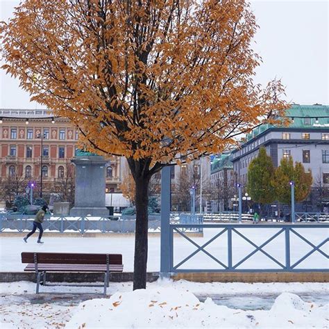 Go Ice Skating In The Very Heart Of Stockholm The Ice Rink In