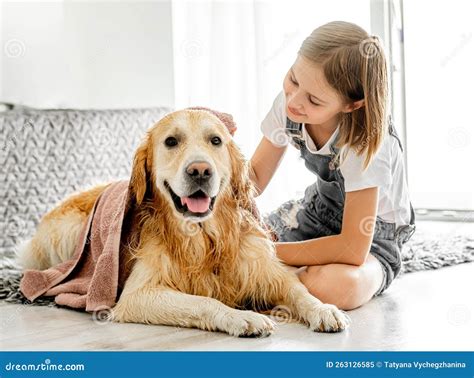 Chica Con Perro Recuperador De Oro Imagen De Archivo Imagen De Suelo