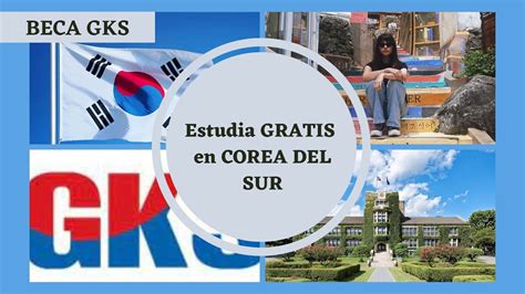 Beca Gks Estudia Gratis En Corea Del Sur Undergraduate Youtube