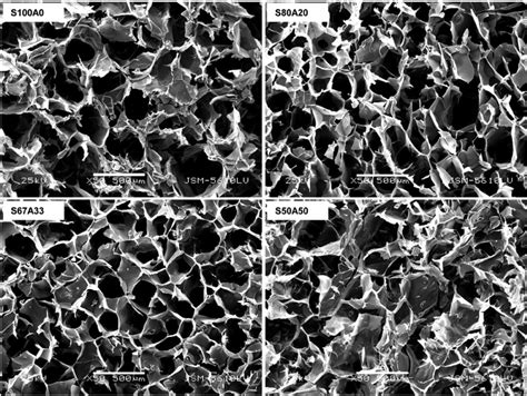 The Porous Microstructure Of The Sericin Alginate Ipn Hydrogels The