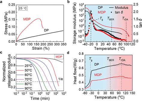 Mechanical And Thermomechanical Characterization Of The DP And MDP A