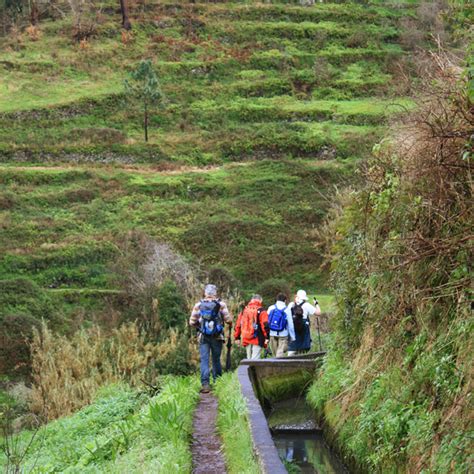 Madeira Walks: Paradise Valley - Levada da Serra