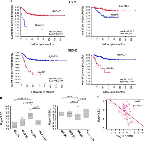 High Levels Of Lsd1 And Sesn2 Expression Are Mutually Exclusive In Nb