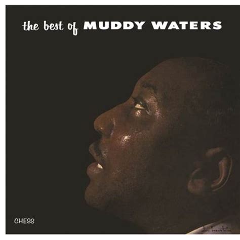 Muddy Waters "Best Of" LP to be reissued on vinyl - Goldmine Magazine ...