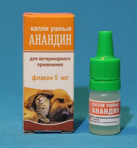 Советы, как правильно применять капли в уши и уколы анандин кошке