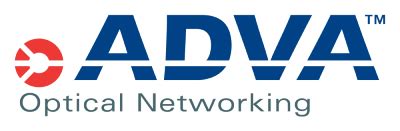 Adva And Wind Scalable Virtual Router Lanner Electronics Network