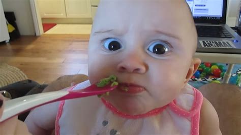 FUNNY VIDEO: Baby does not like first avocado experience - ABC7 Los Angeles