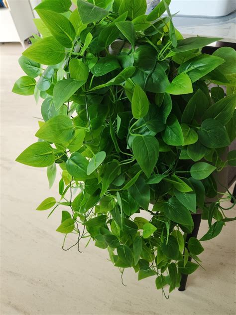 Artificial Hanging Plants Ivy Vine Furniture Home Living Home