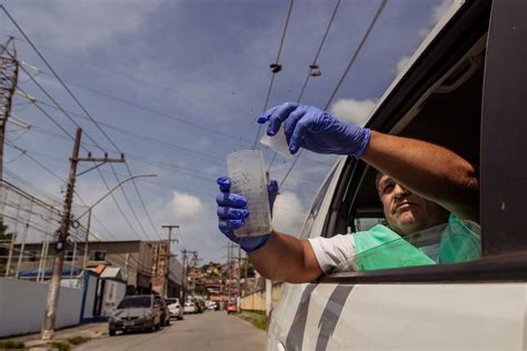 Dengue Wie in Brasilien gezüchtete Super Mücken das Denguefieber