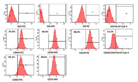 Flow Cytometry Histogram