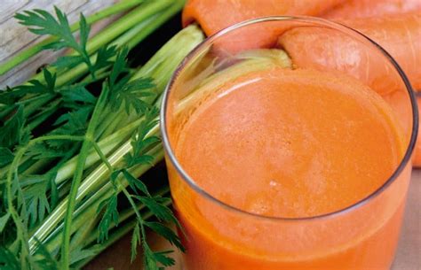 Receitas De Suco De Mam O Para Se Encantar Essa Bebida