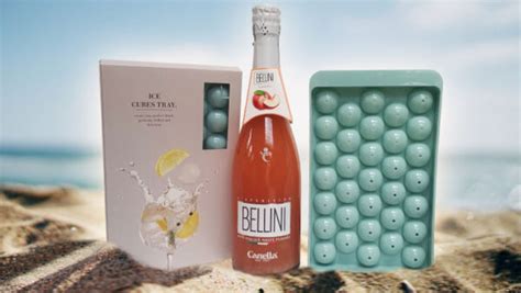 Zomers Bellini Cocktail Cadeau Silvia Bruin Reclame Advies