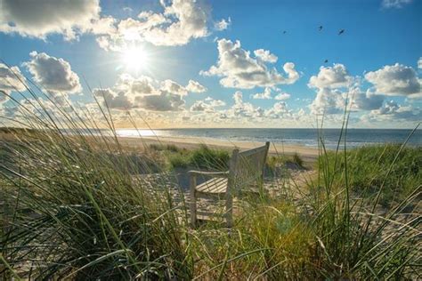 Fotobehang Bankje In De Duinen Vlieland 450 X 260 Cm 295 Bol