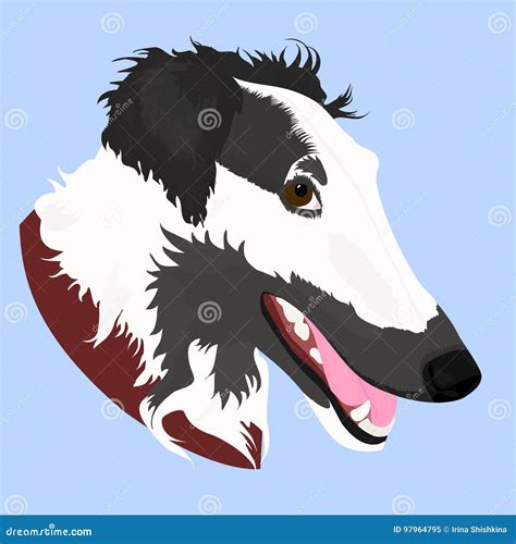 Vector Illustrated Portrait Of Borzoi Dog Cute Face Of Russian