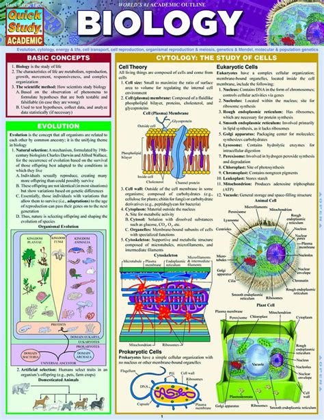 Biology Quick Study Academic Cards Amazon