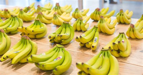 6 utilidades da casca de banana que você precisa conhecer