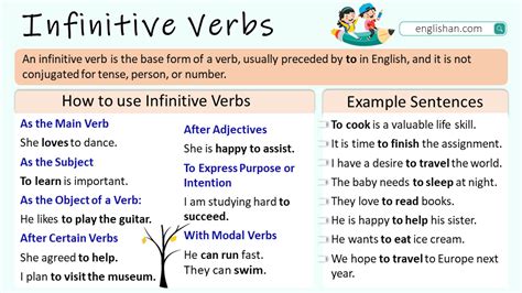 Infinitive Verbs In English With Examples • Englishan