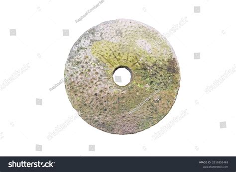 11,958 Antique Stone Wheel Images, Stock Photos, 3D objects, & Vectors | Shutterstock