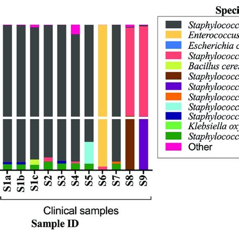 Stacked Bar Plot Displaying Relative Abundance Of Bacteria At The