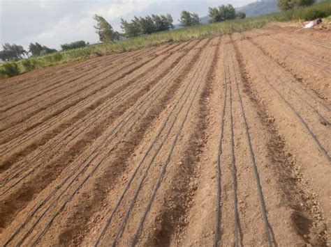 Drip Irrigation Lines And Pipes By Grekkon Limited 0777 157 132