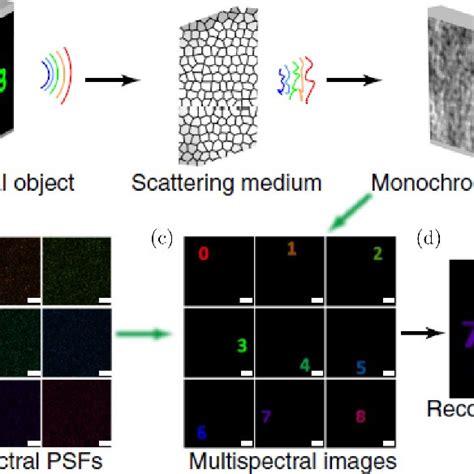 Schematic of single-shot multispectral imaging with a monochromatic ... 