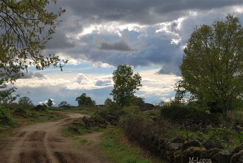 dia nublado ( sin retoques Imagen & Foto | paisajes, campo, naturaleza Fotos de fotocommunity