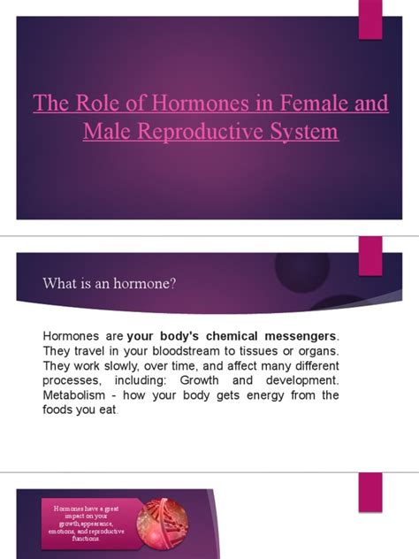 The Role of Hormones in Female and Male | PDF