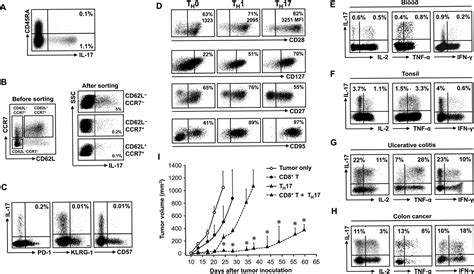 Human Th17 Cells Are Long Lived Effector Memory Cells Science