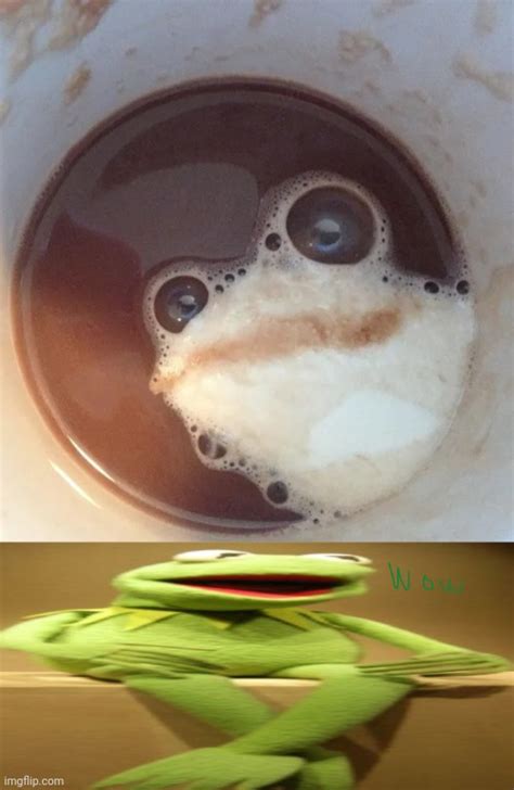 Frog Optical Illusion Imgflip