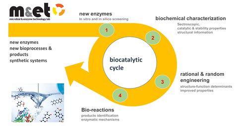 Microbial Enzyme Technology Lab ITQB