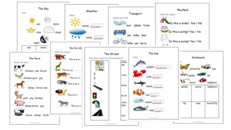 EAL ESL Starter Pack 3 Out And About Primary Texts English