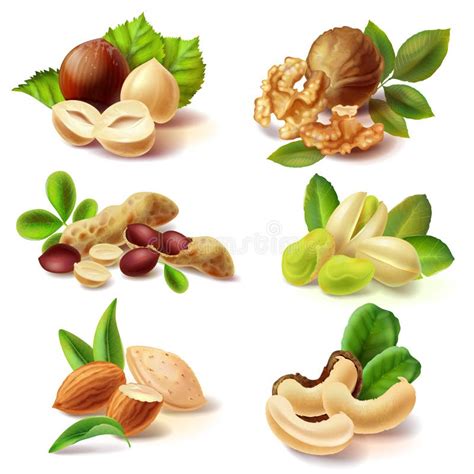 Vector Illustration Set Of Realistic Icons Of Dry Macaroni Pasta Of Various Kinds Stock Vector