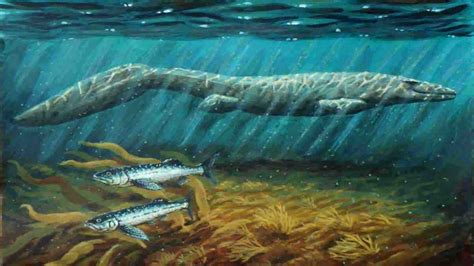 Mosasaurus Monster Laut Purba Yang Menakjubkan Jenggala Id