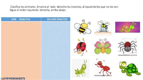 Los Insectos Ficha Interactiva Y Descargable Puedes Hacer Los Ejercicios Online O Descargar La