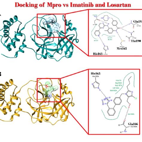 Main Protease Mpro Of Sars Cov2 Complex With Imatinib And Download Scientific Diagram