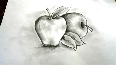 Sketsa Buah Apel